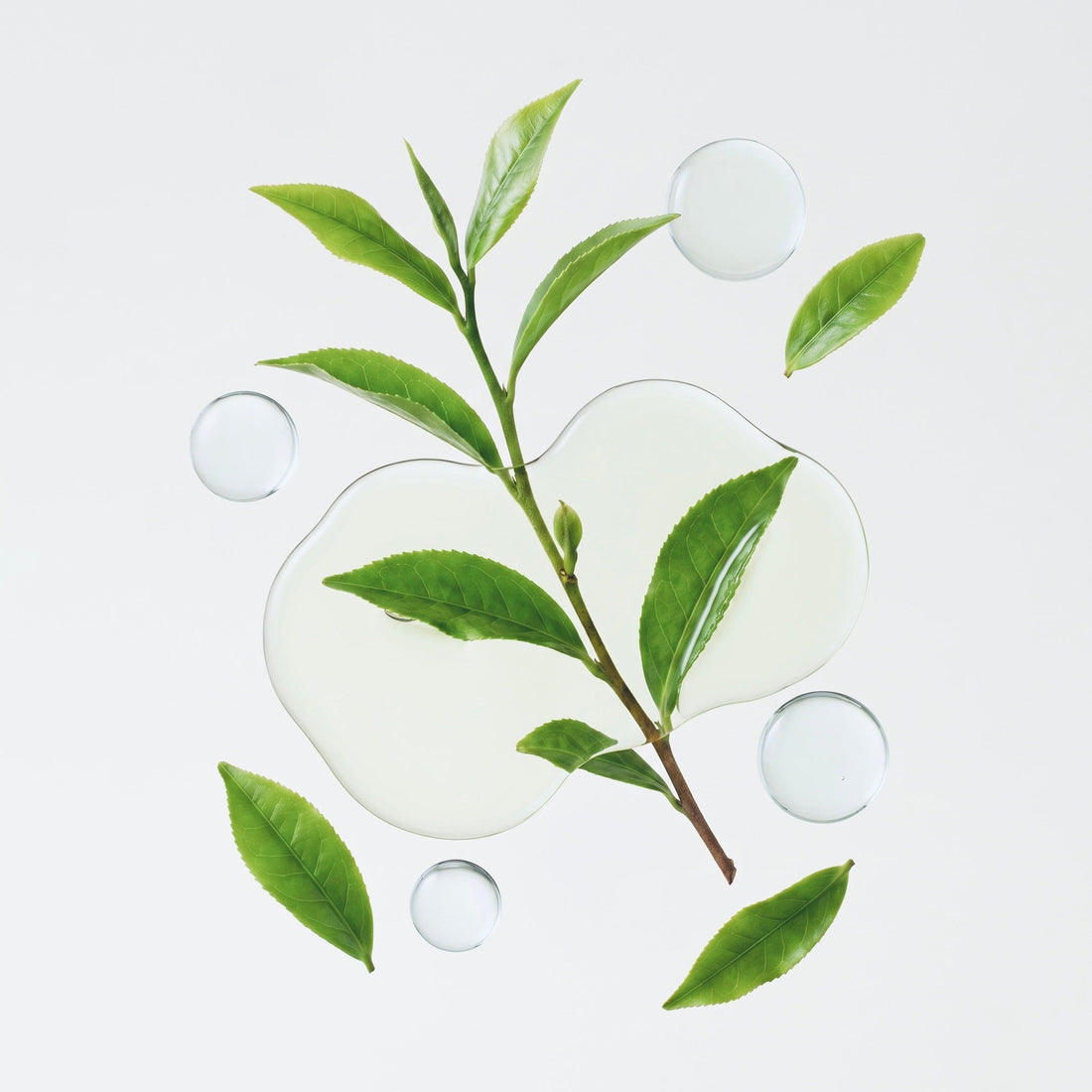 Le Thé Vert et la Peau - Bienfaits Thé Vert Peau