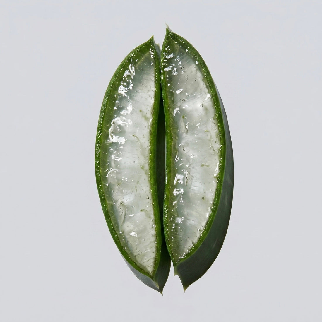 L'Aloe Vera Une Plante Multi Usages - Bienfaits Aloe Vera Peau