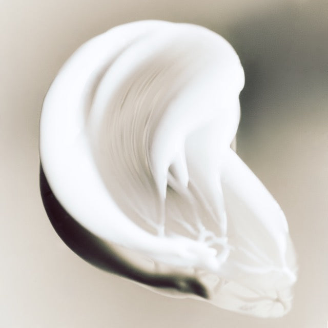 La Nourrissante - Crème de Nuit Visage Bio - Biolystere