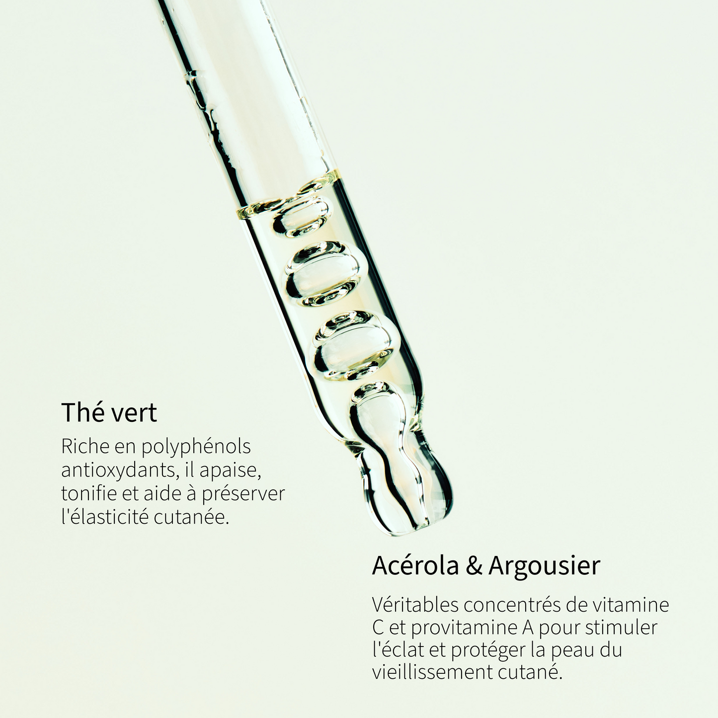 THE MOISTURIZER I Day cream with sweet almond oil